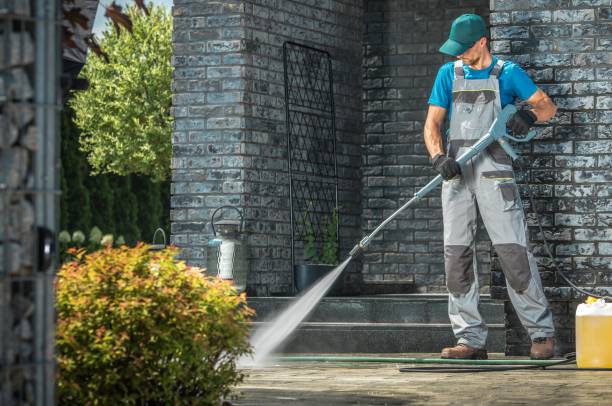 Best Roof Washing  in Brownsville, LA